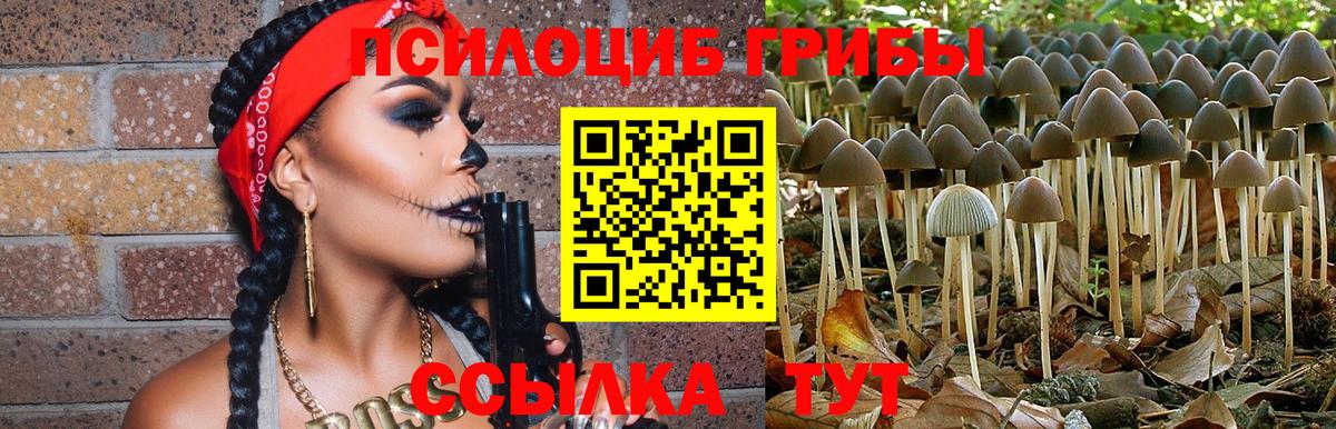 Псилоцибиновые грибы мицелий  Вход с VPN  Кинешма 