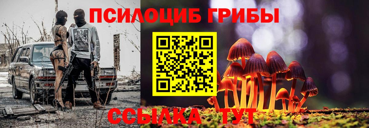 Галлюциногенные грибы GOLDEN TEACHER Кинешма