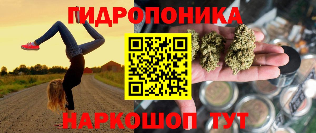 Шишки марихуана конопля  Шишки марихуана индика  Кинешма  Вход с VPN 